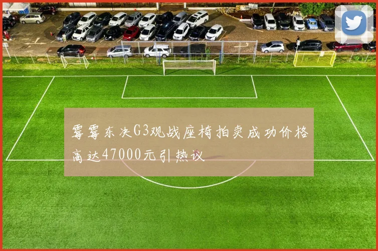 霉霉东决G3观战座椅拍卖成功价格高达47000元引热议